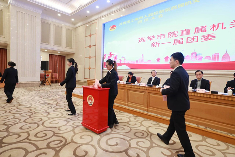 1741137518356048507.jpg 2.jpg